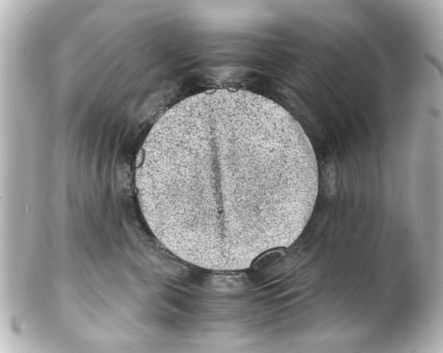 X0000101480571200808041131