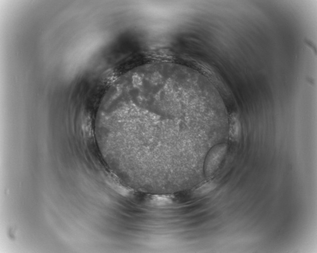 X0000101480573200808041131