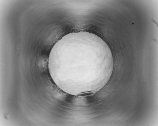 X0000101480576200808041131