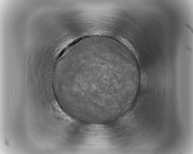 X0000101480577200808041130