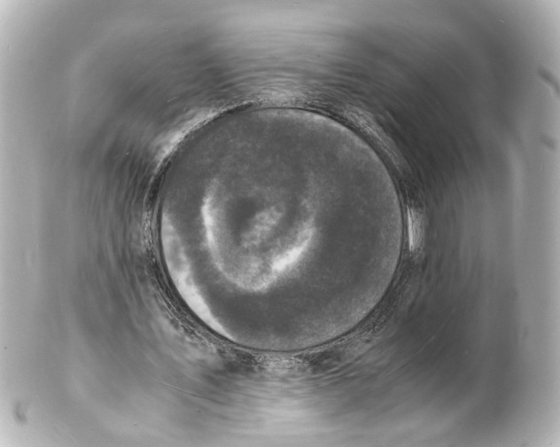 X0000101480579200808041130