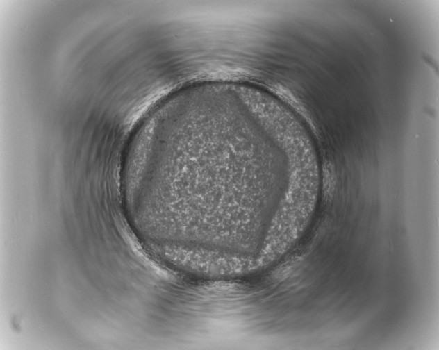 X0000101480581200808041130