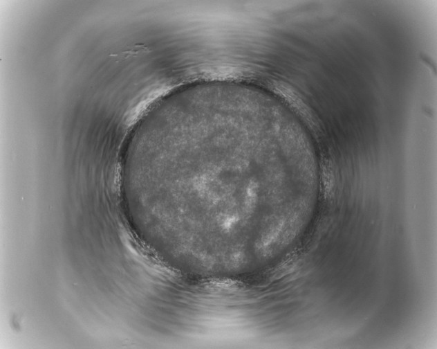 X0000101480583200808041130