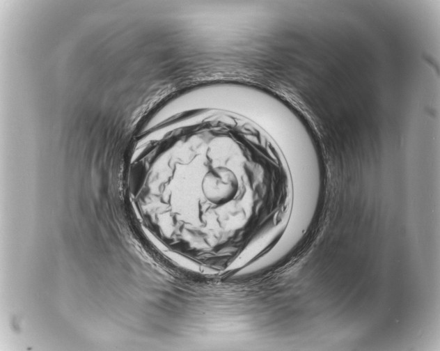 X0000101480585200808041130