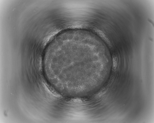 X0000101480588200808041130