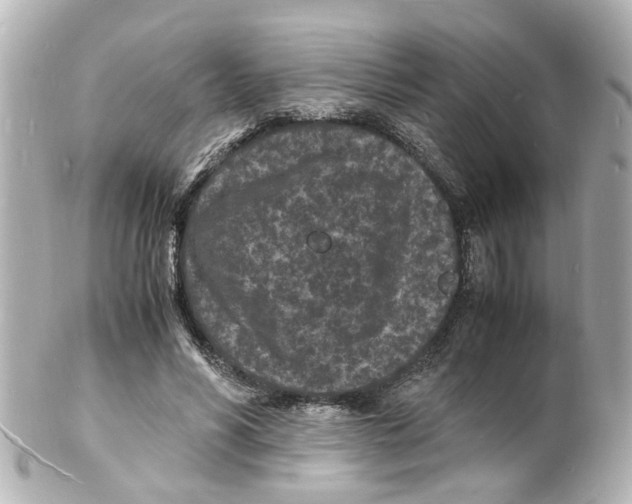 X0000101480590200808041130