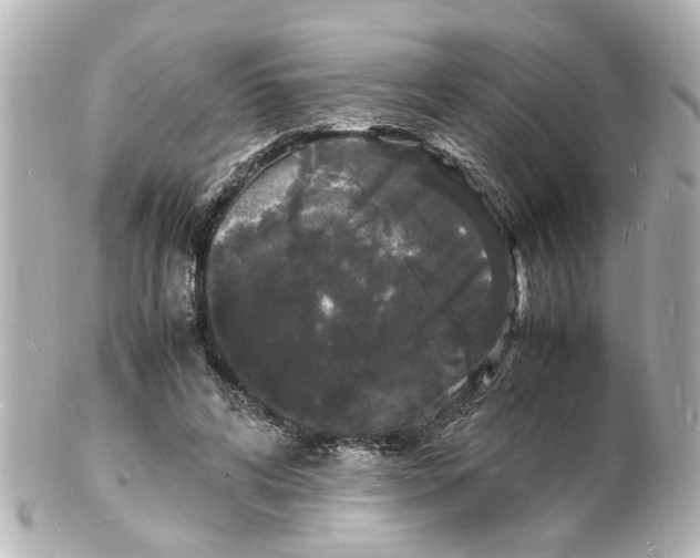 X0000101480592200808041130