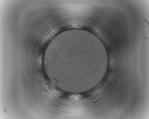 X0000101480595200808041130