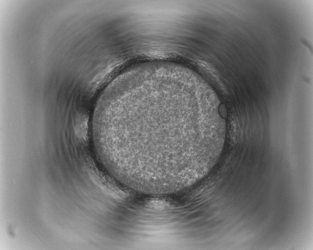 X0000101480596200808041130