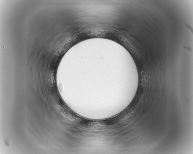 X0000101480597200808041130