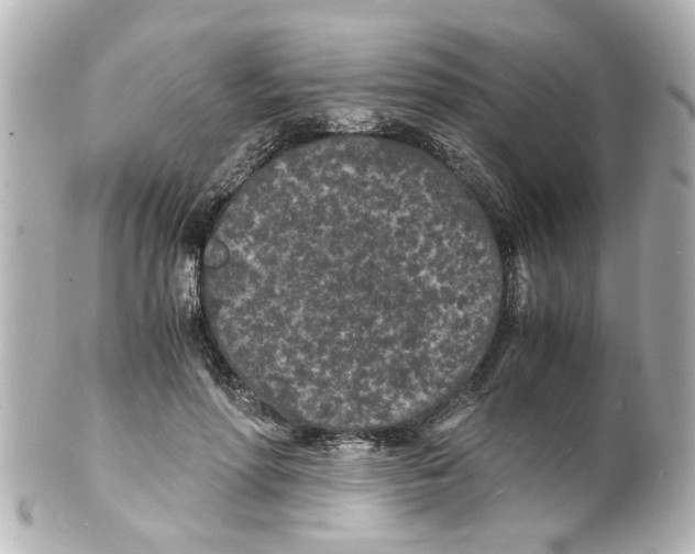 X0000101480598200808041130