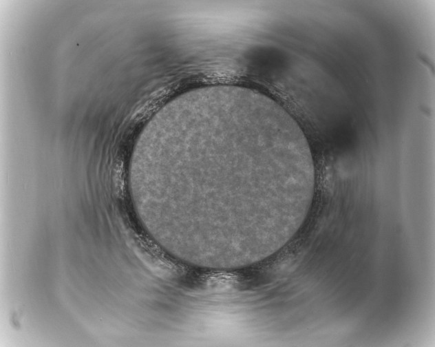 X0000101480599200808041130