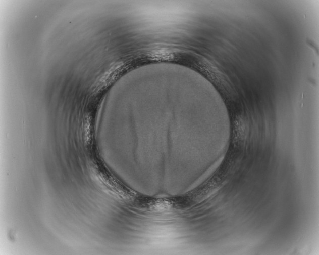 X0000101480600200808041130