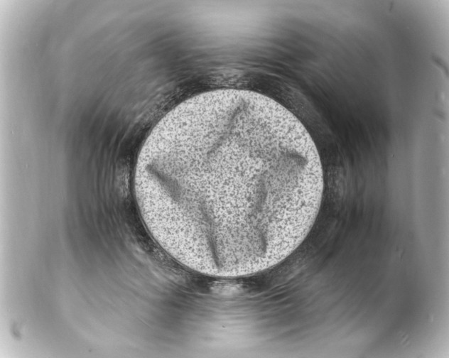 X0000101480602200808041130