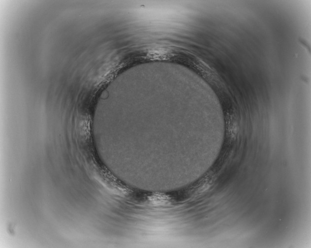 X0000101480603200808041130