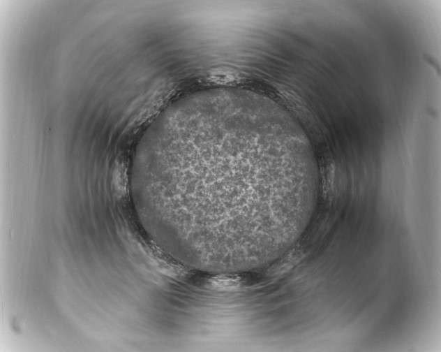 X0000101480606200808041130