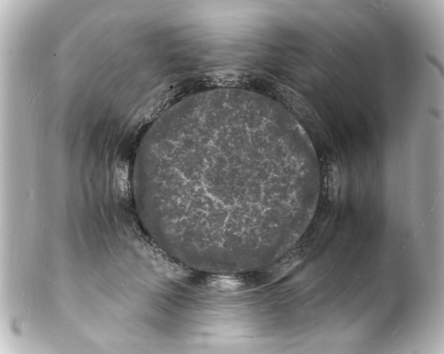 X0000101480610200808041130