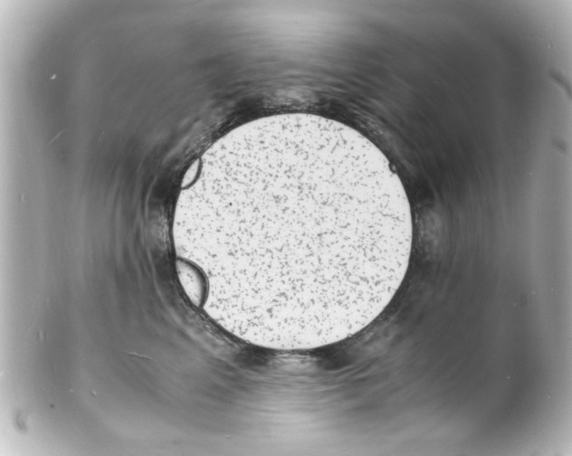 X0000101480617200808041130