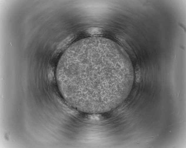 X0000101480618200808041130