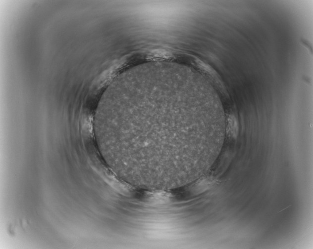 X0000101480621200808041130