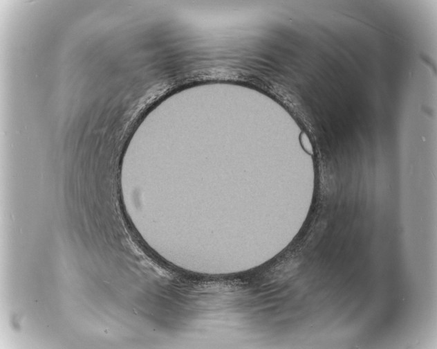 X0000101480625200808041129