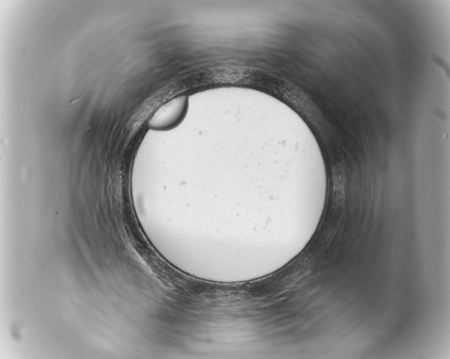 X0000101480626200808041129