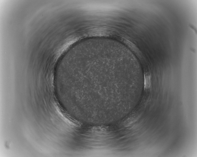 X0000101480627200808041129