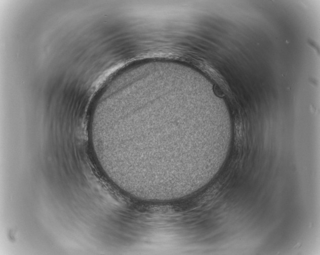 X0000101480628200808041129