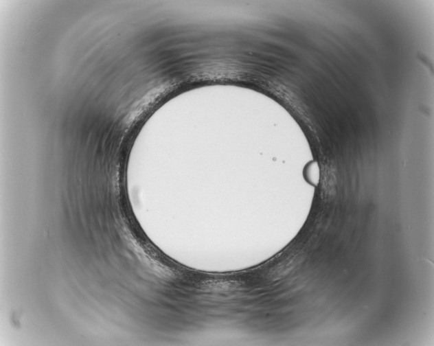 X0000101480629200808041129