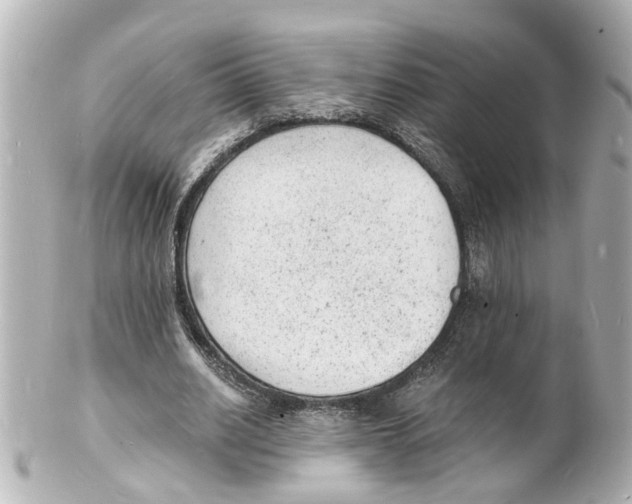 X0000101480630200808041129