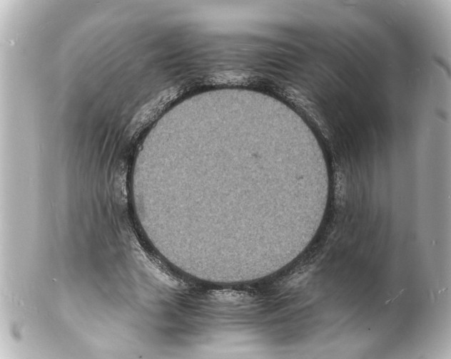 X0000101480633200808041129