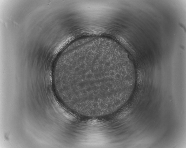 X0000101480634200808041129