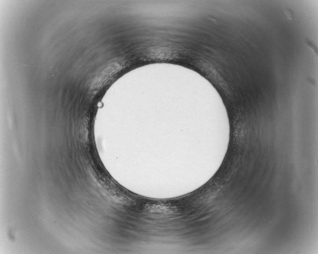 X0000101480635200808041129