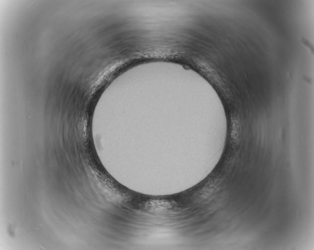 X0000101480636200808041129