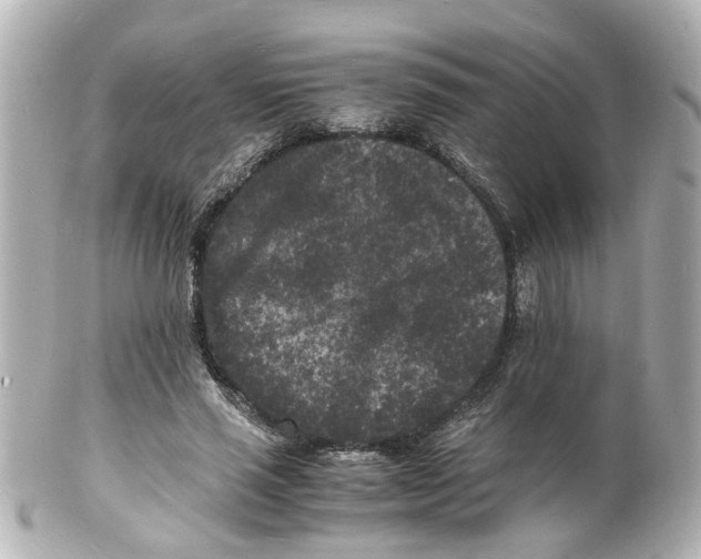 X0000101480637200808041129