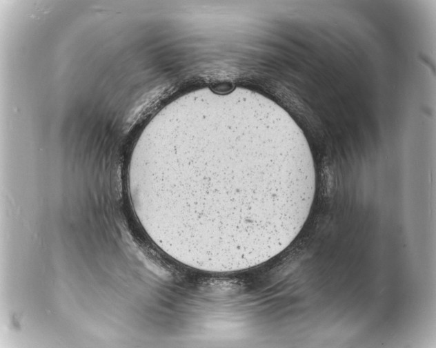 X0000101480638200808041129