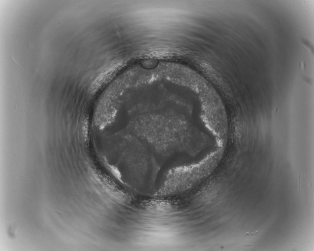 X0000101480640200808041129