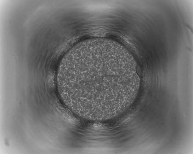 X0000101480641200808041129