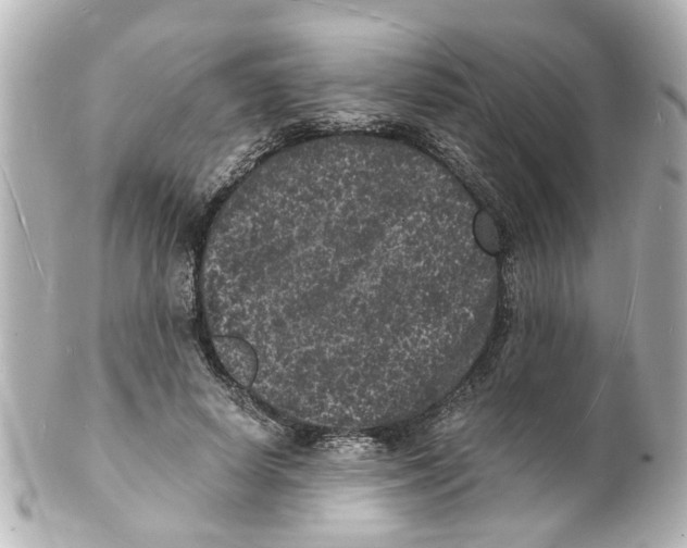 X0000101480642200808041129