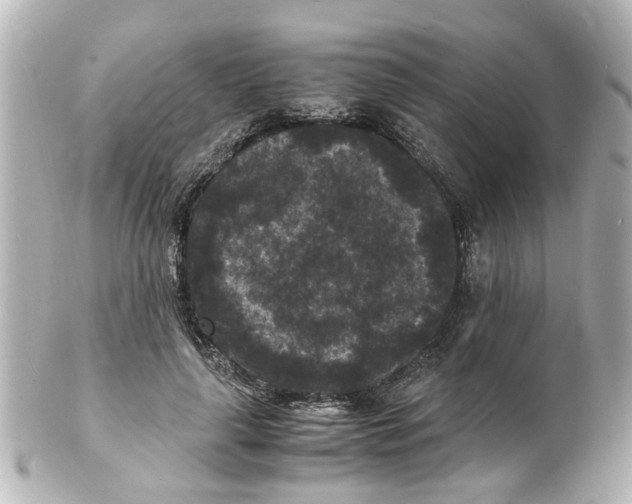 X0000101480643200808041129