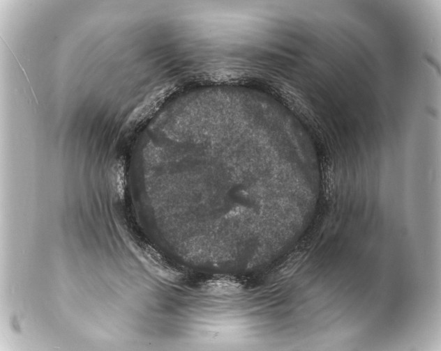 X0000101480644200808041129