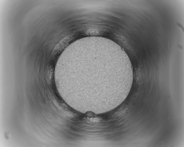 X0000101480645200808041129