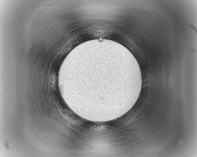 X0000101480646200808041129