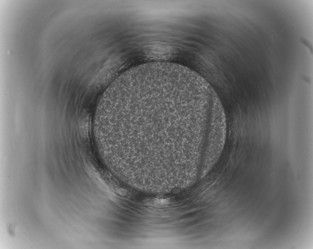 X0000101480647200808041129