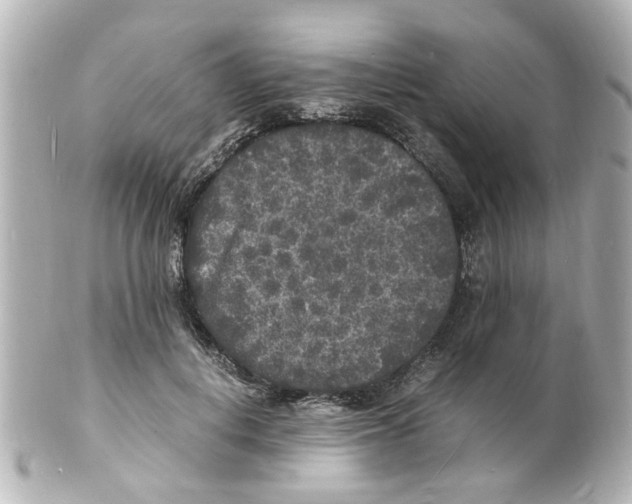 X0000101480648200808041129