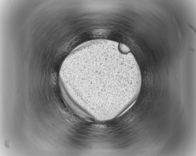 X0000101480649200808041129