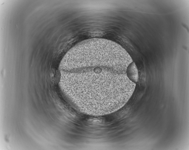 X0000101480655200808041129