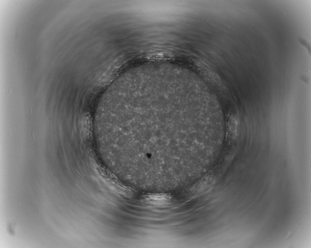 X0000101480659200808041129