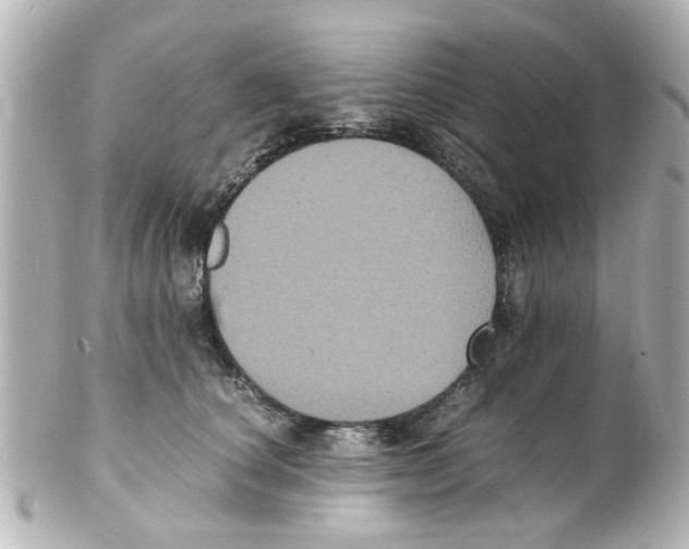 X0000101480660200808041129