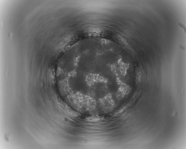 X0000101480661200808041129